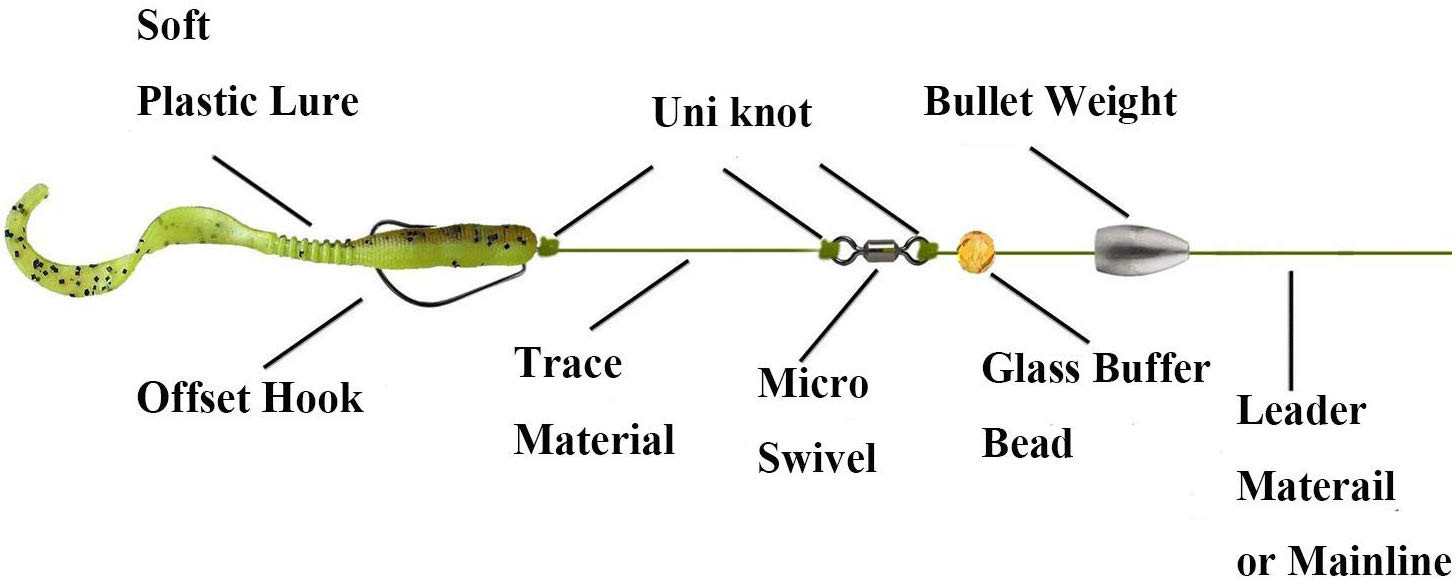 Texas Rig vs Carolina Rig: Which is best to use?