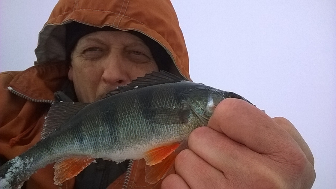 Eurasian perch , cought at 02/25/2017 - information about the catch ...