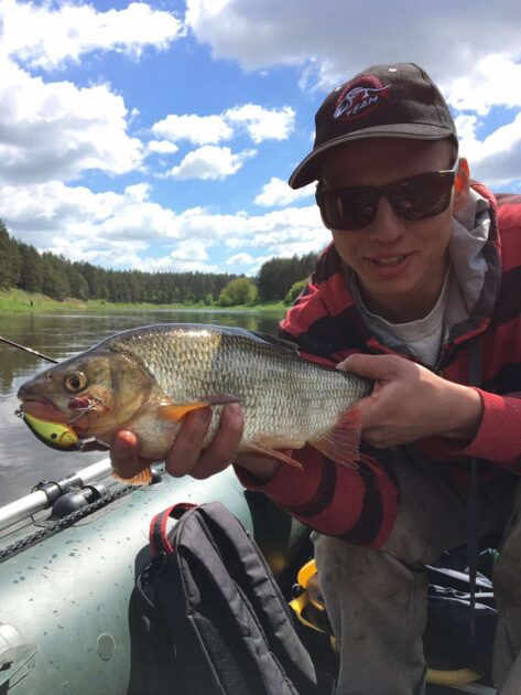 Ide Catching Ide - information about the catch | Pinfishing.com