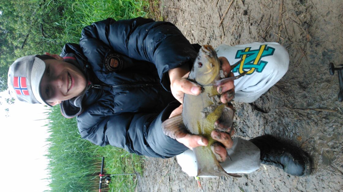 Tench, 12in , cought at 06/14/2014 - information about the catch ...