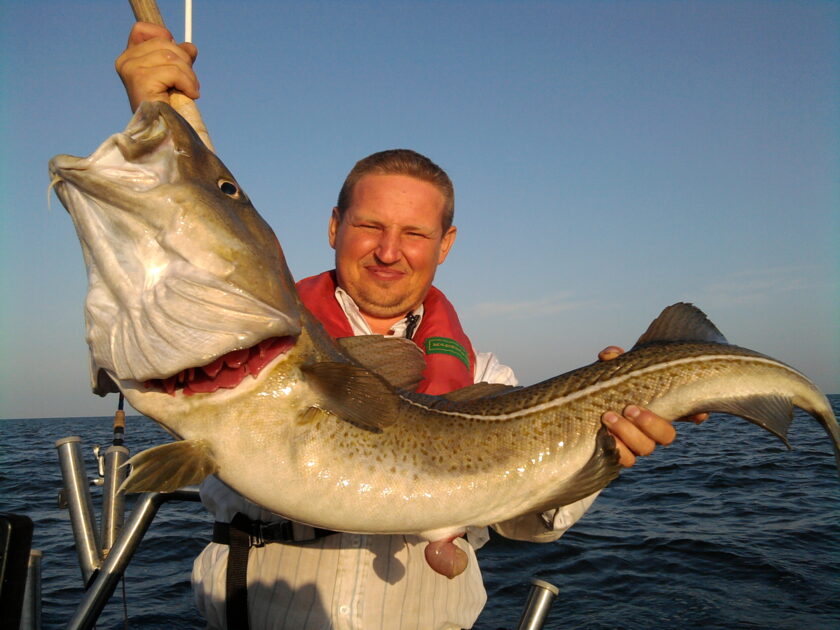 Atlantic cod, 20lb 15oz - information about the catch | Pinfishing.com