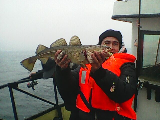 Where To Catch Cod Fish Atlantic cod, 3lb 15oz , cought at 10/19/2014 - information about the ...