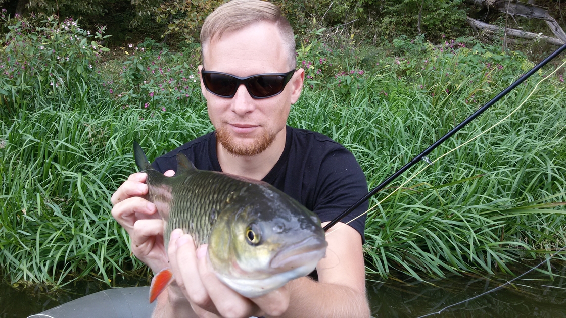 chub, 1ft 6in , cought at 09/13/2015 - information about the catch ...
