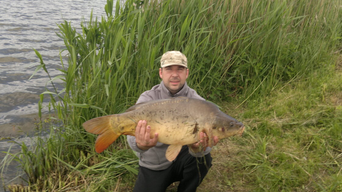 Mirror carp, 24lb 11oz , cought at 05/20/2016 - information about the ...