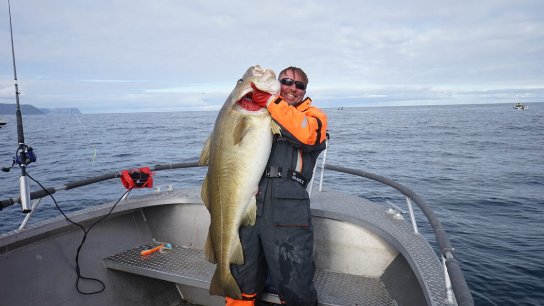 Atlantic cod, 66lb 2oz, 5ft 1in , cought at 08/14/2016 - information ...