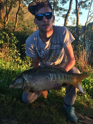 Mirror carp