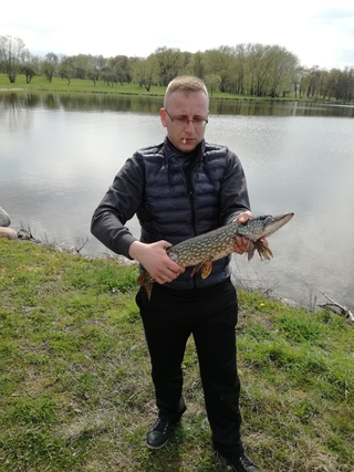 Northern Pike