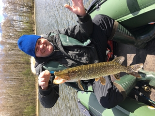 Northern Pike