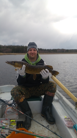 Northern Pike