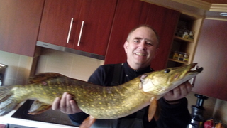 Northern Pike