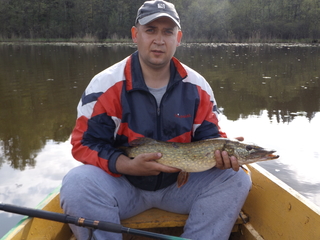 Northern Pike