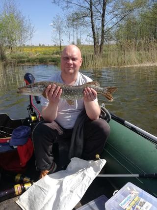 Northern Pike
