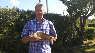 Carp bream
