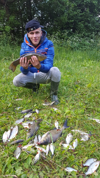 Tench