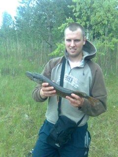 Northern Pike