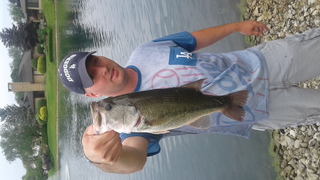 Largemouth Bass