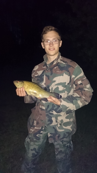 Tench