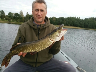 Northern Pike