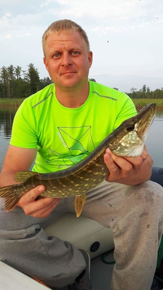 Northern Pike