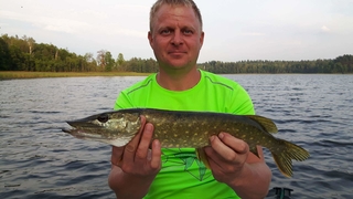 Northern Pike