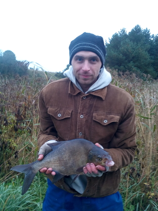 Carp bream