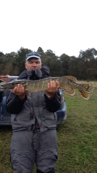 Northern Pike