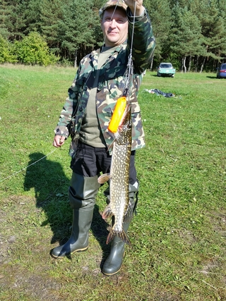 Northern Pike