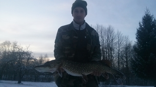 Northern Pike