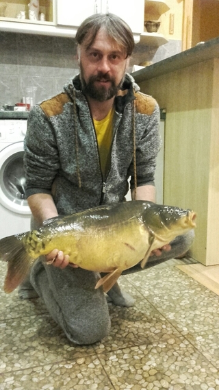 Mirror carp