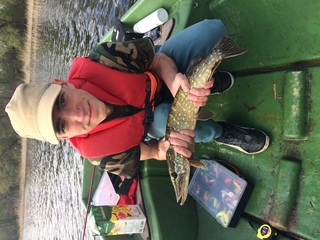 Northern Pike