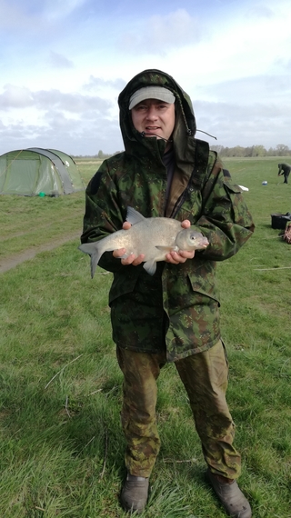 Carp bream
