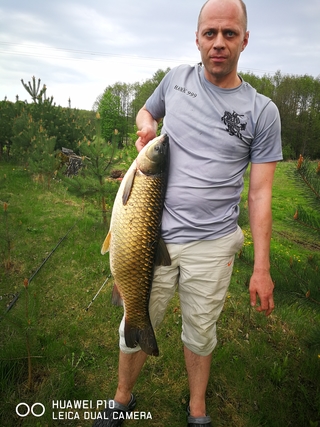 Grass carp
