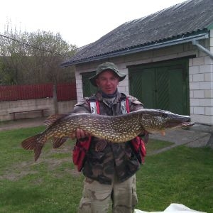 Northern Pike