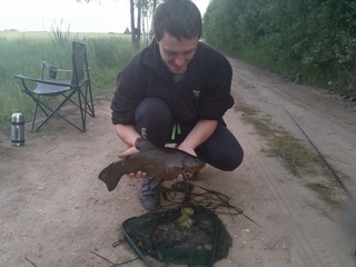Tench