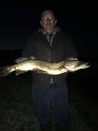 Northern Pike