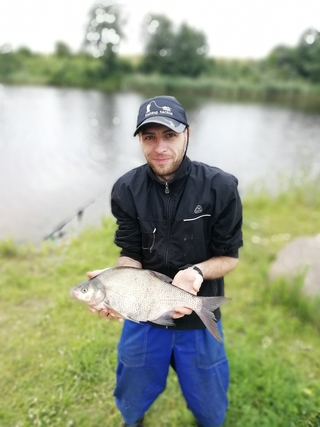 Carp bream