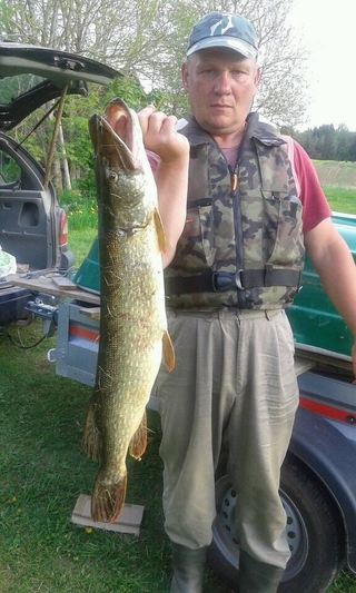 Northern Pike
