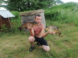 Carp bream