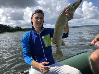 Northern Pike