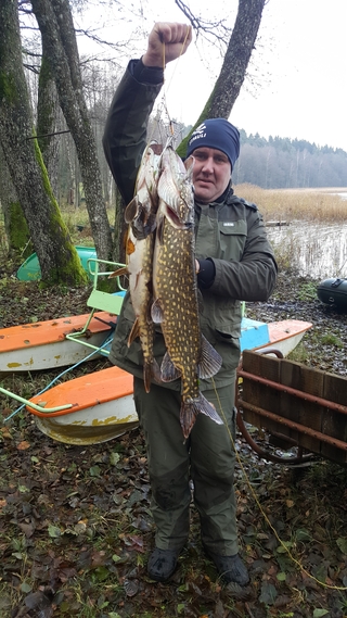Northern Pike