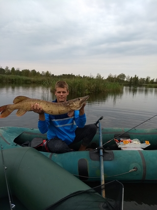 Northern Pike
