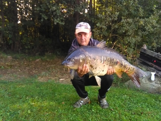 Mirror carp