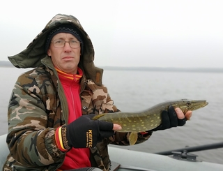 Northern Pike