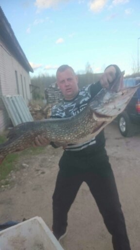 Northern Pike