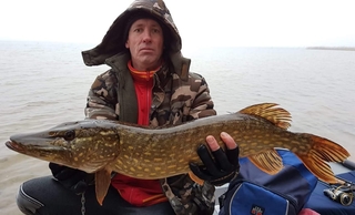 Northern Pike