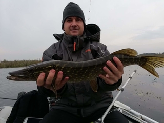 Northern Pike