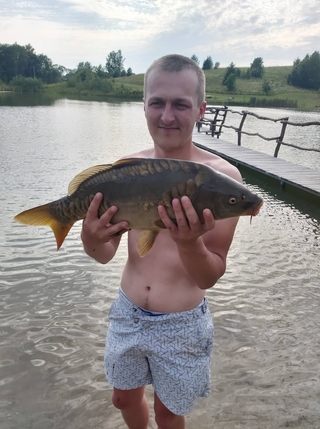 Mirror carp