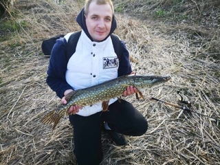 Northern Pike