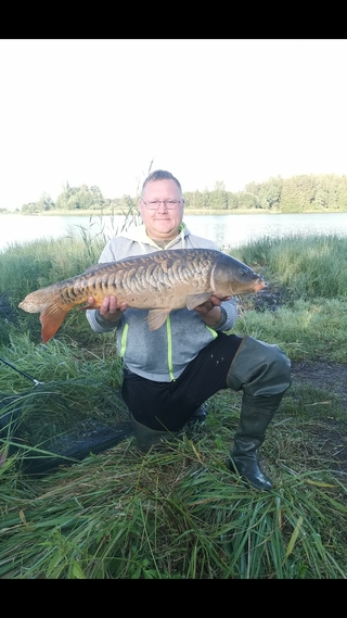 Mirror carp