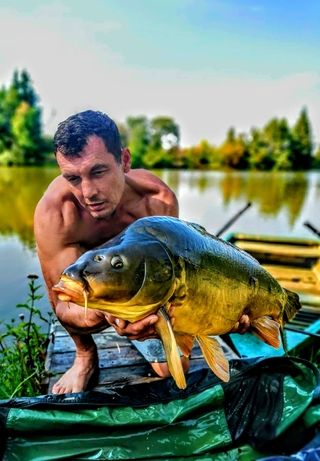 Mirror carp